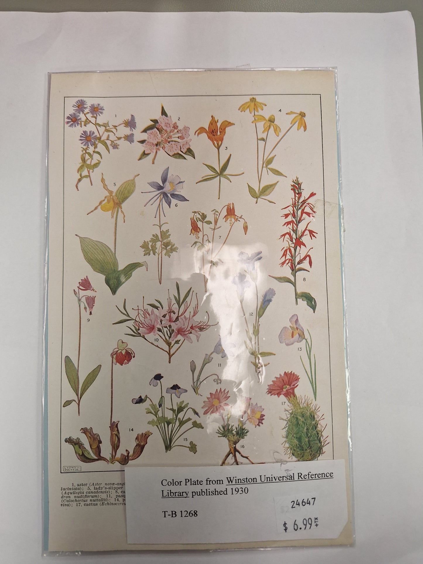 Pouch Burlap Bags with Drawstring,5x7 inch