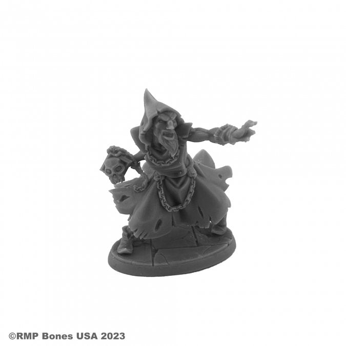 Reaper Miniatures Bones USA: Dungeon Dwellers - HYBORIAN WIZARD