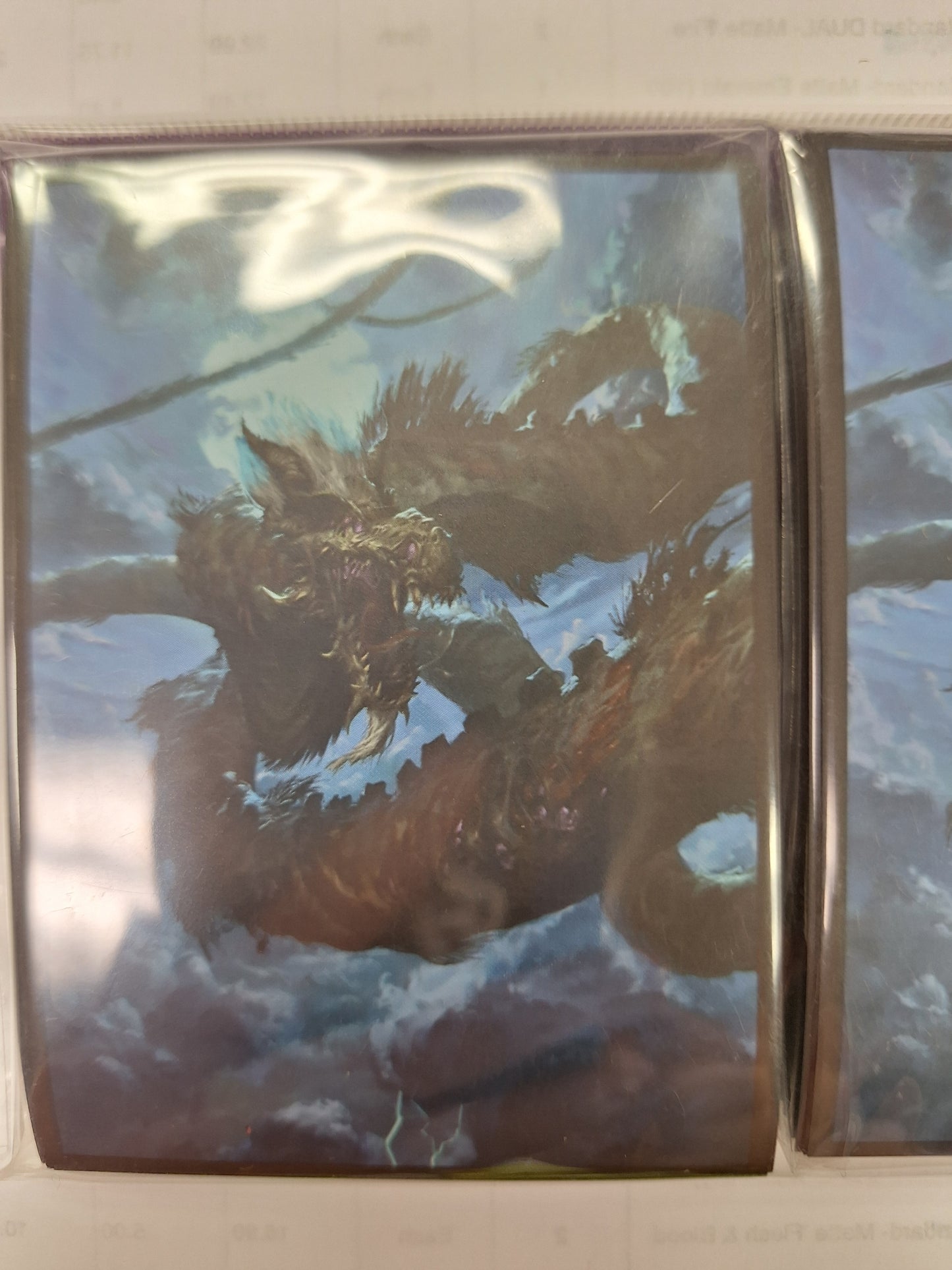 Arcane Fortress Premium Art Sleeves