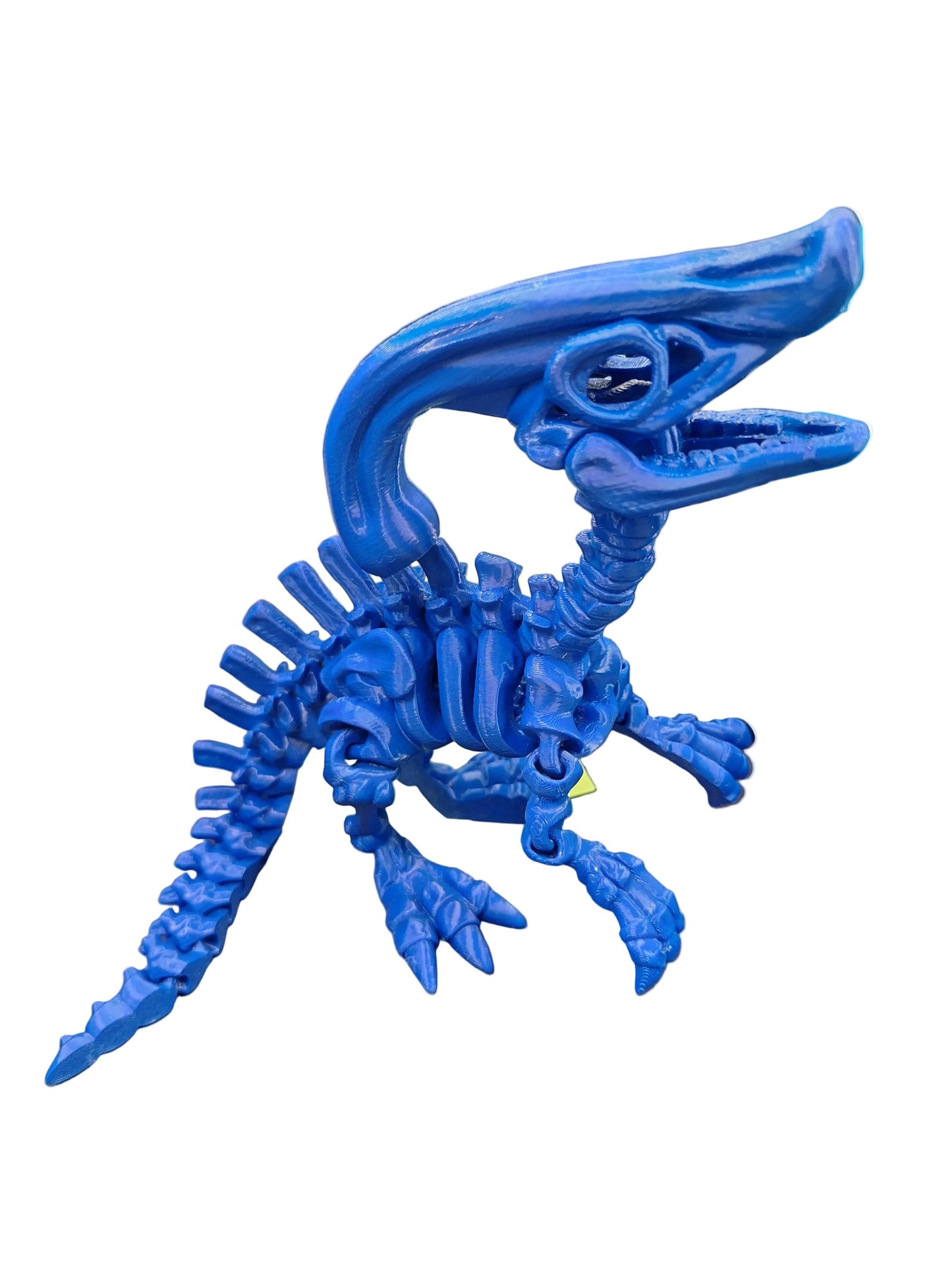 Articulated Bone Dinos
