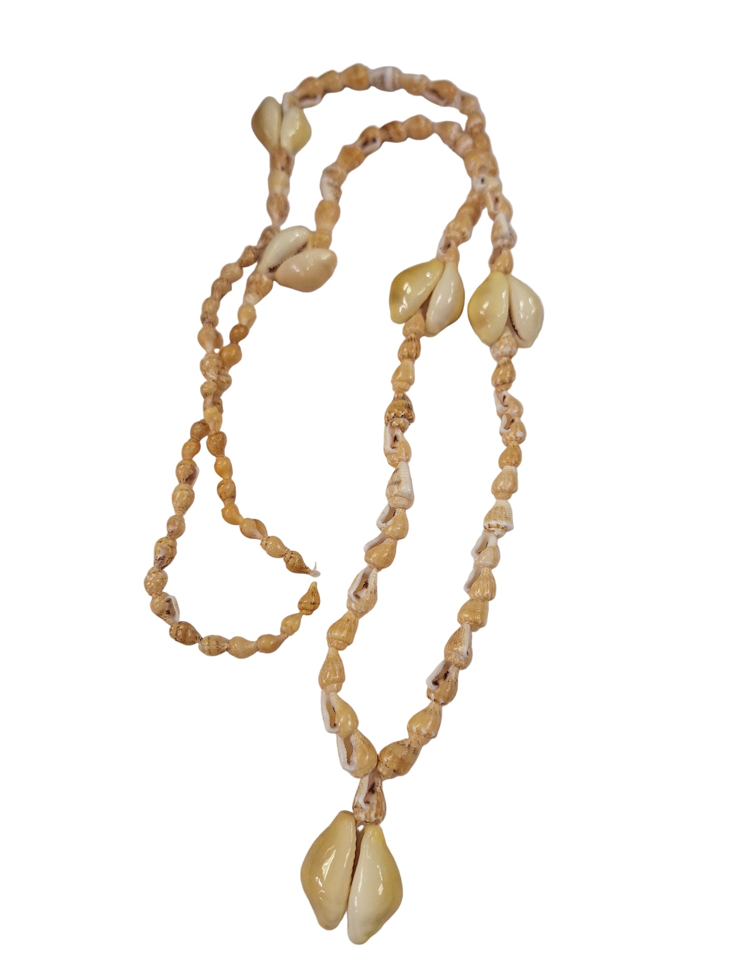 Necklace, Cowrie Shell, and Mini Conch Shell