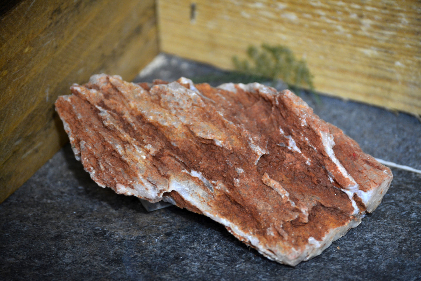 Specimen, Selenite in Matrix