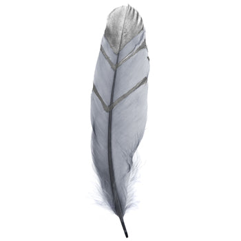 Smudging Feather gray and silver goose (moon feather)
