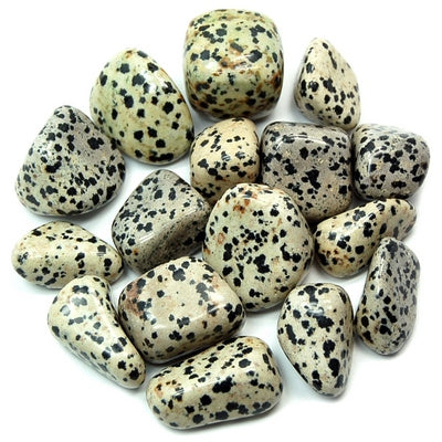 Tumbled, Jasper, Dalmation