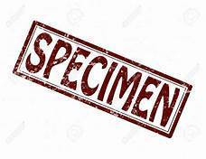 Specimen, Chalcedony