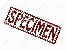 Specimen, Chalcedony