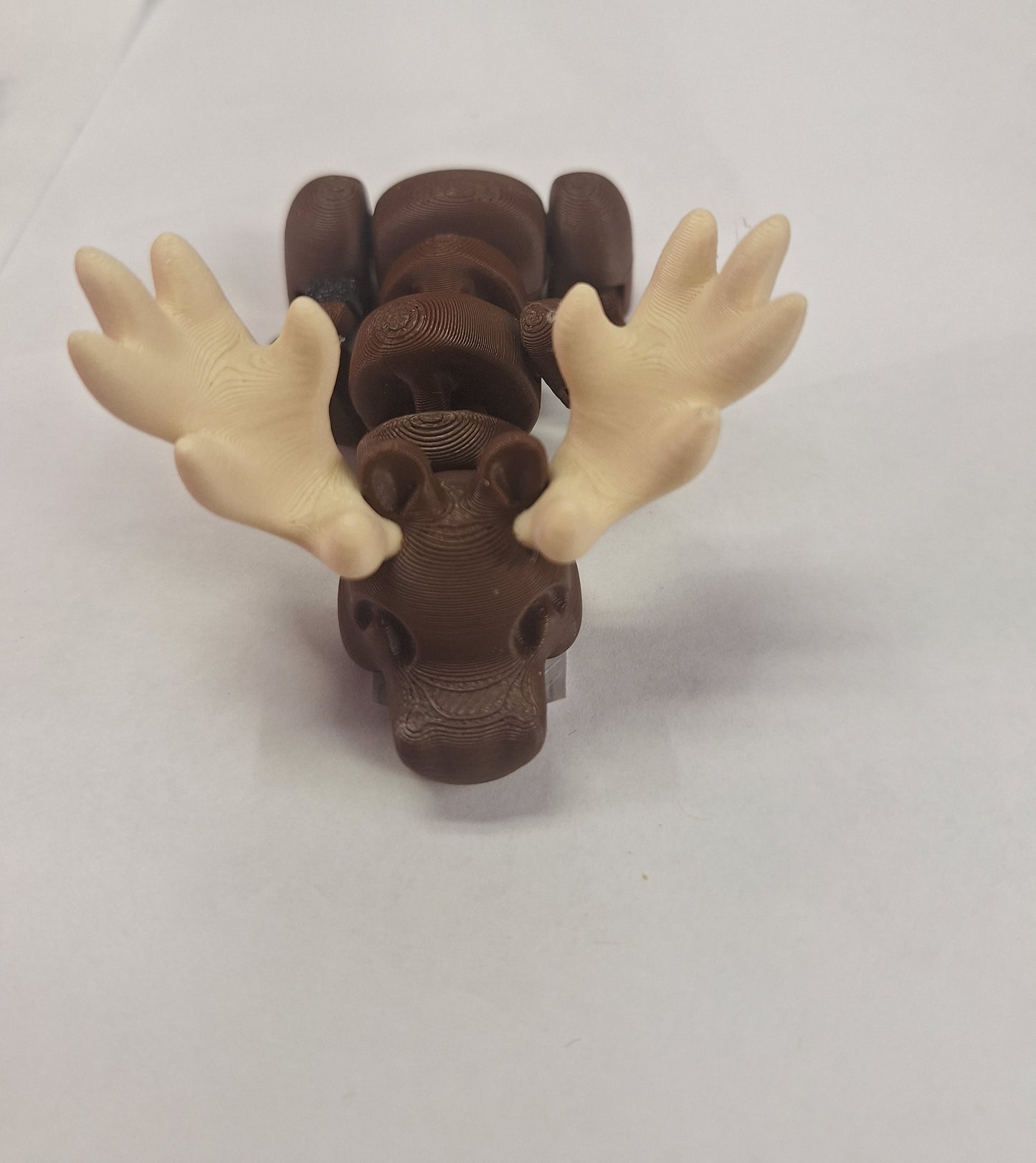 Random Cuteness - Cutie you youie