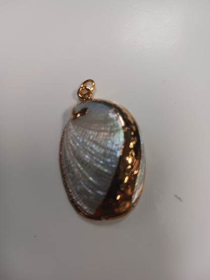 Necklace- Abalone Shell