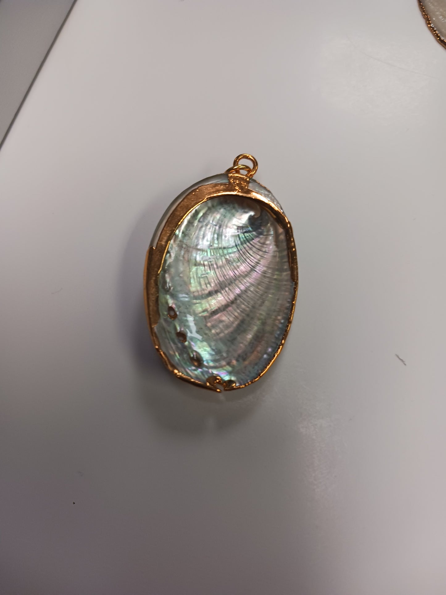 Necklace- Abalone Shell