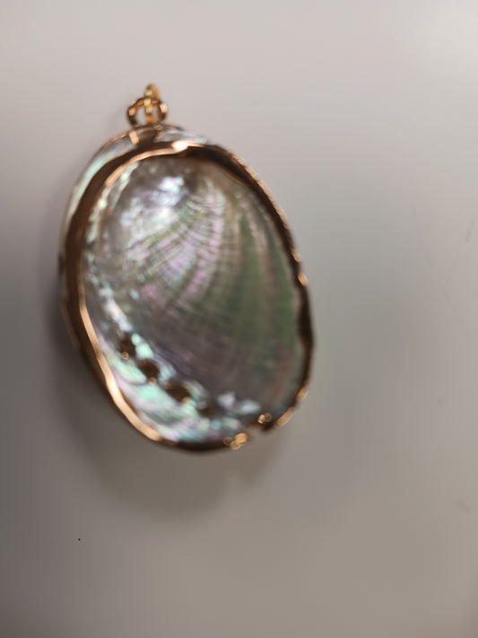Necklace- Abalone Shell