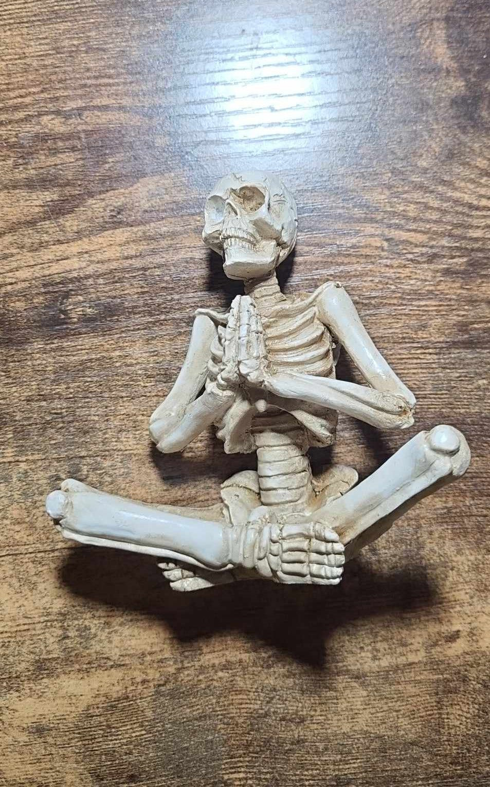 Yoga Pose Skeletons