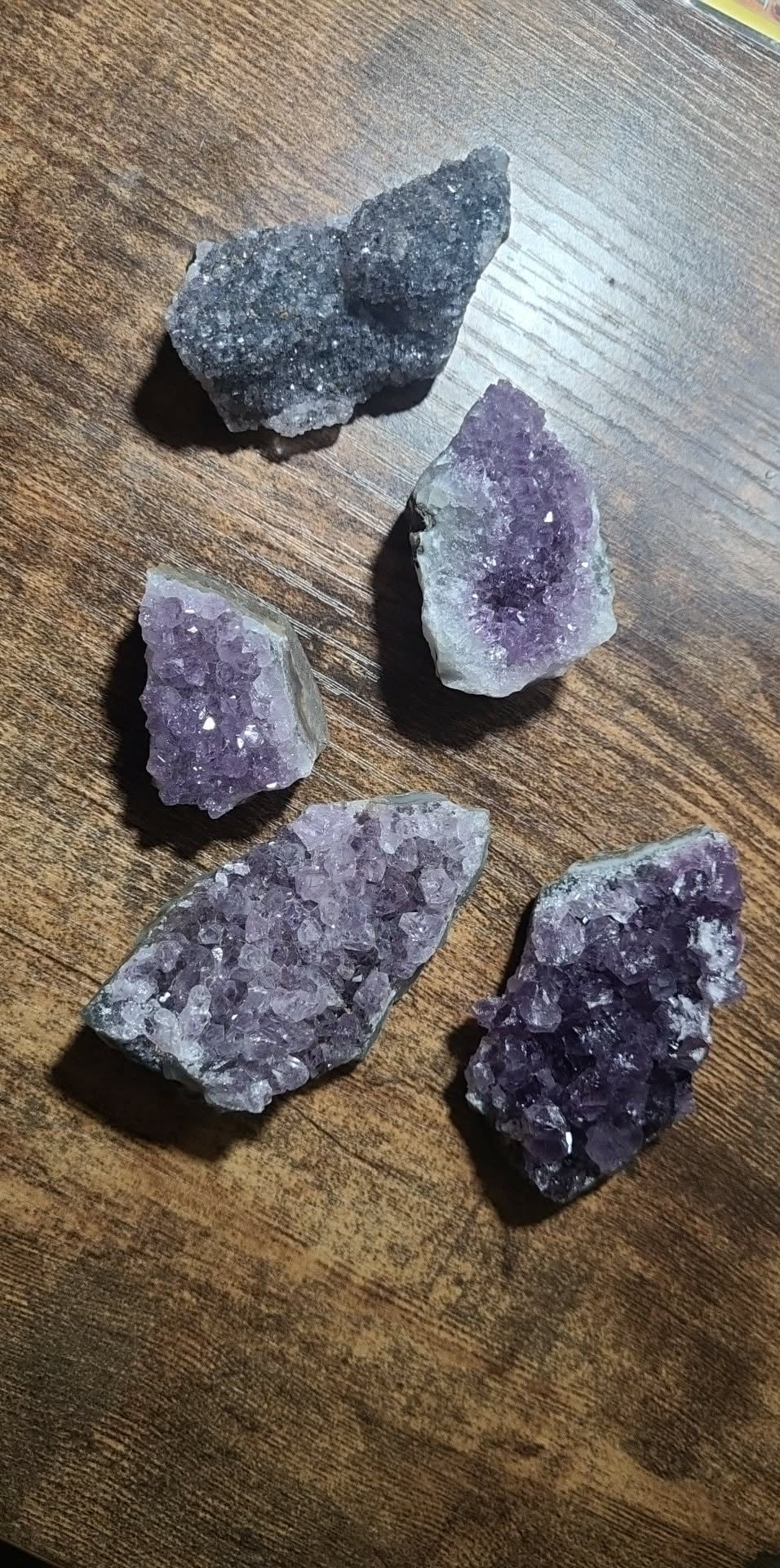 Specimen, Amethyst Cluster