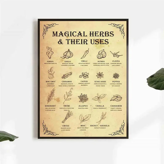 Poster, Magical Herbs And Their Uses,  Unframed