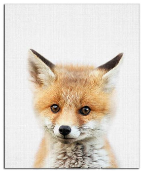 Baby Animal Posters and Prints ART Various