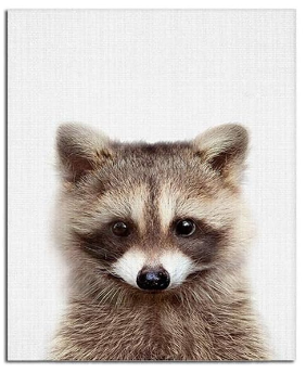 Baby Animal Posters and Prints ART Various