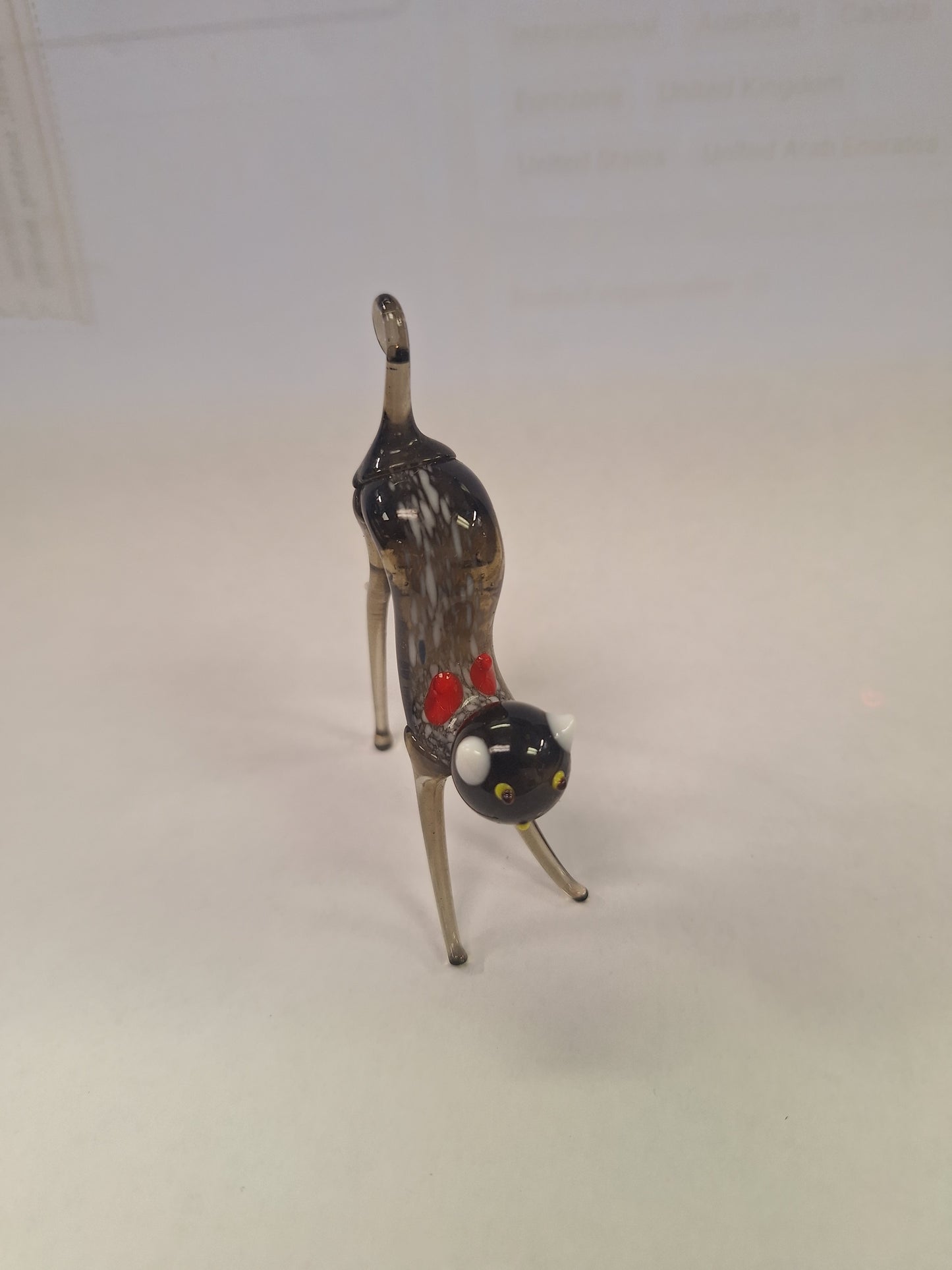 Glass Cat