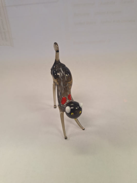 Glass Cat