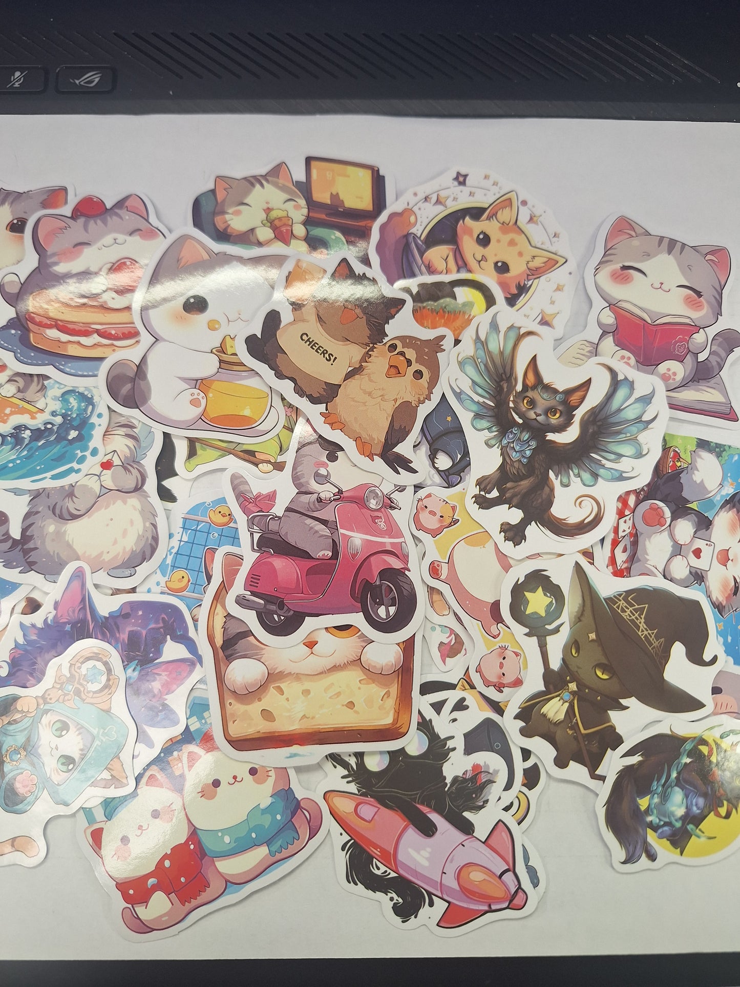 Cat Stickers