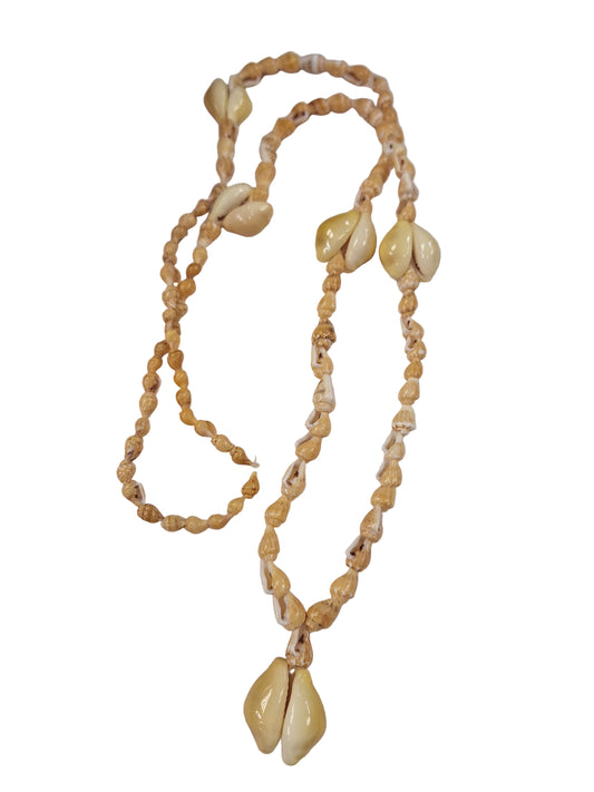 Necklace, Cowrie Shell, and Mini Conch Shell