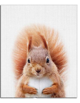 Baby Animal Posters and Prints ART Various