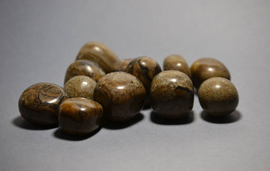 Tumbled, stromatolite