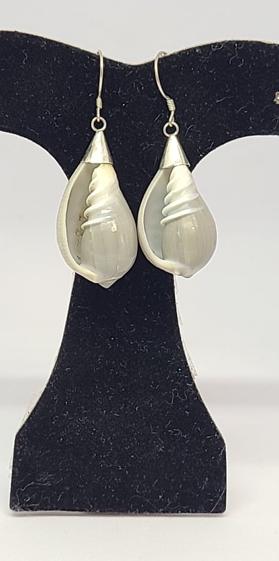 Earrings, Sterling Silver and Natural Seashell