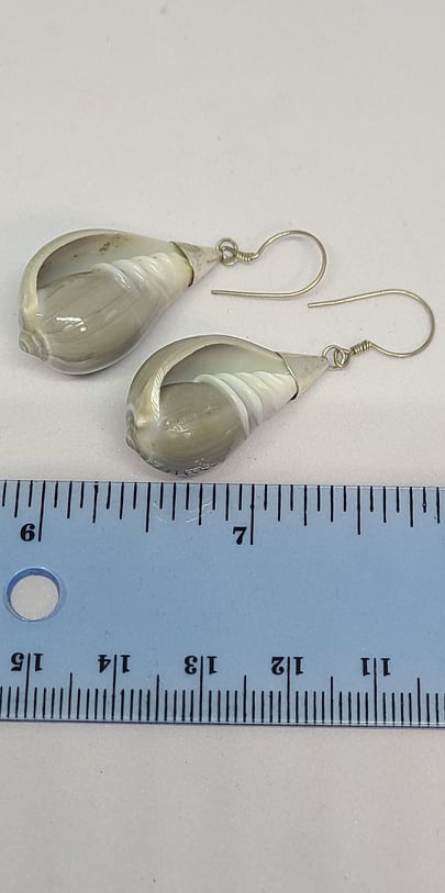 Earrings, Sterling Silver and Natural Seashell