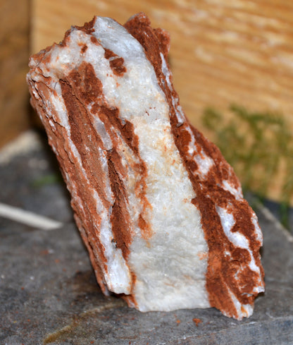 Specimen, Selenite in Matrix