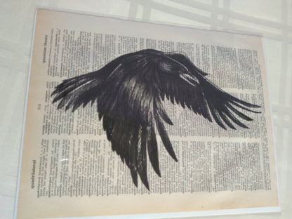 Art Prints on Dictionary Pages: Raven