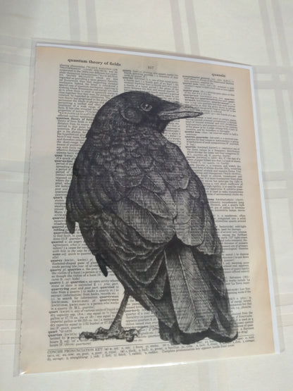 Art Prints on Dictionary Pages: Raven