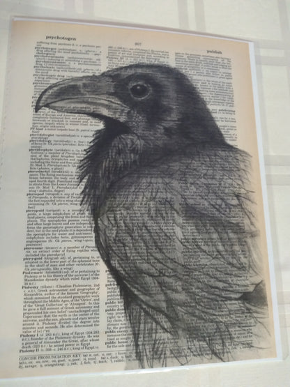 Art Prints on Dictionary Pages: Raven