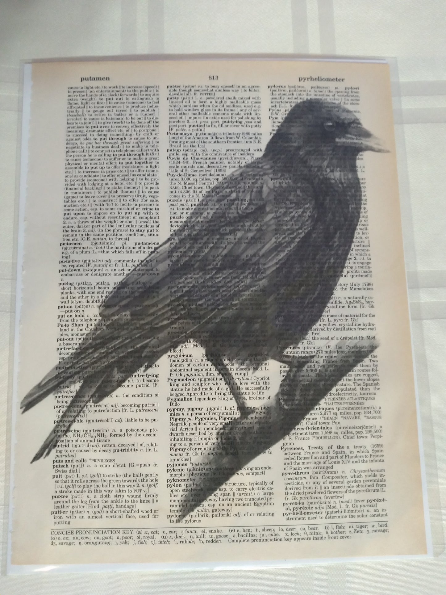 Art Prints on Dictionary Pages: Raven