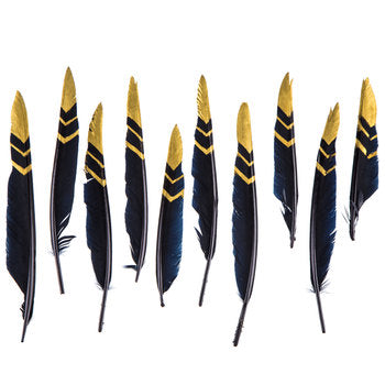Smudging Feather, Black with gold Goose