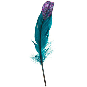 Smudging Feather, Teal Aurora Goose