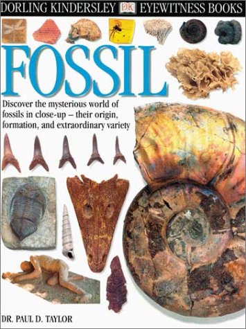 DK Eyewitness Books: Fossil