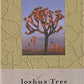 Joshua Tree Hardcover Ruled Journal: Art Wolfe Signature Edition