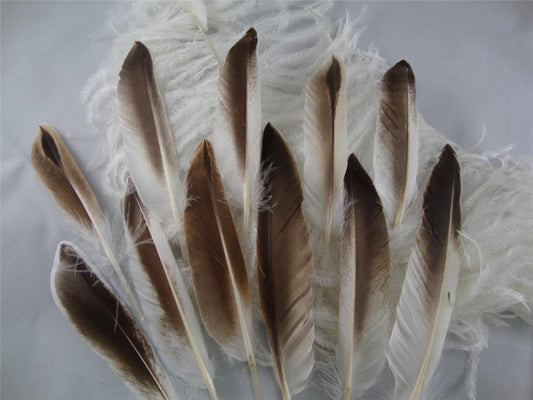 Smudging Feather Brown and White Turkey