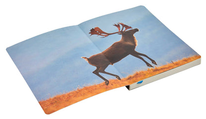 Refuge: Arctic River Softcover Notebook: Arctic National Wildlife Refuge