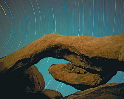 Joshua Tree Hardcover Ruled Journal: Art Wolfe Signature Edition