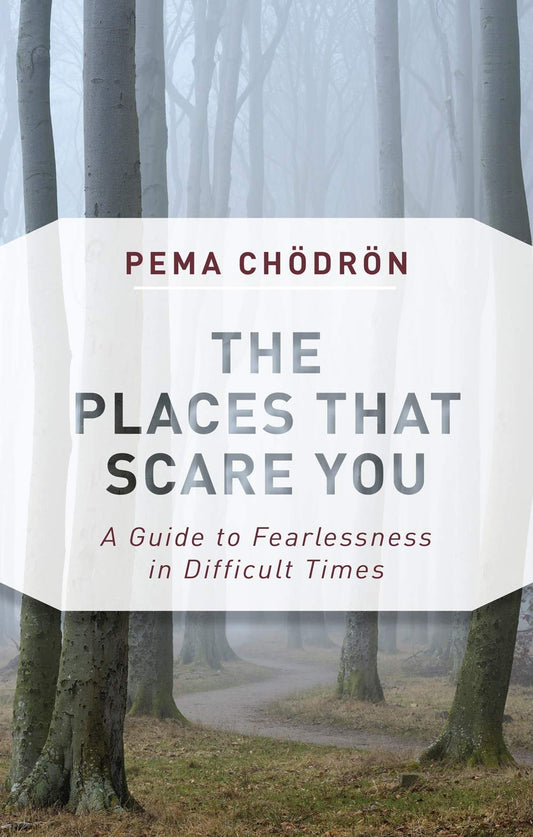 The Places That Scare You: A Guide to Fearlessness in Difficult Times