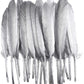 Smudge Feather, Metallic Silver (Goddess)