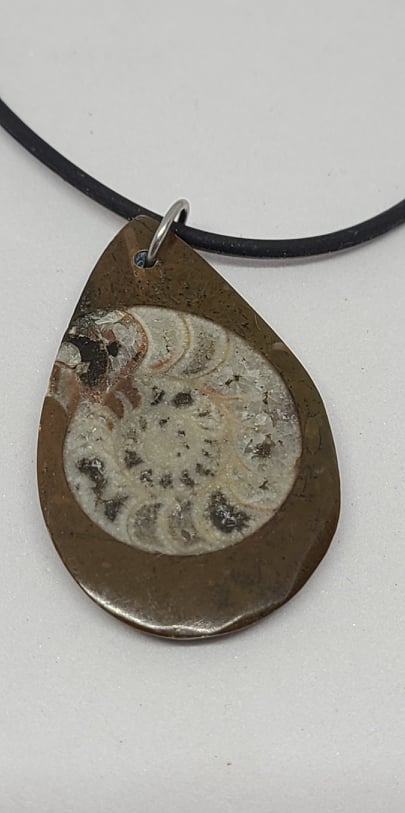 Pendant, Ammonites in matrix