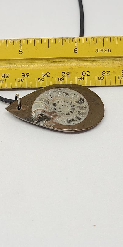 Pendant, Ammonites in matrix