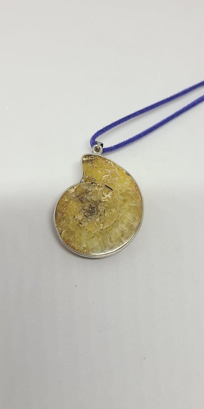 Pendant, fossil Ammonites in silvered metal