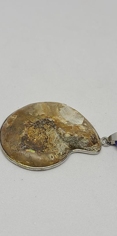Pendant, fossil Ammonites in silvered metal