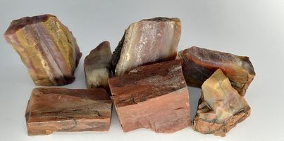 Rough, Arizona Petrified Wood - Fossil Gemstone of Transformation