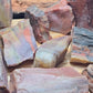 Rough, Arizona Petrified Wood - Fossil Gemstone of Transformation