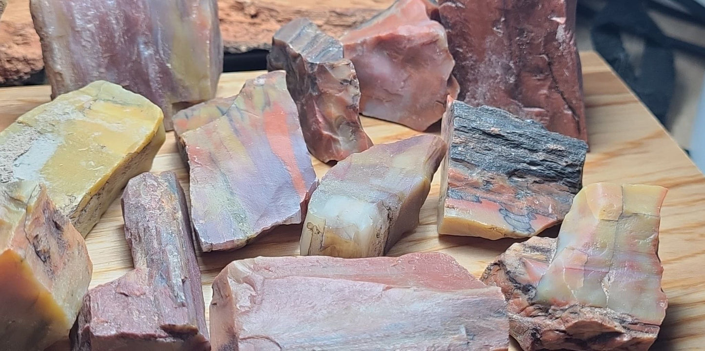 Rough, Arizona Petrified Wood - Fossil Gemstone of Transformation