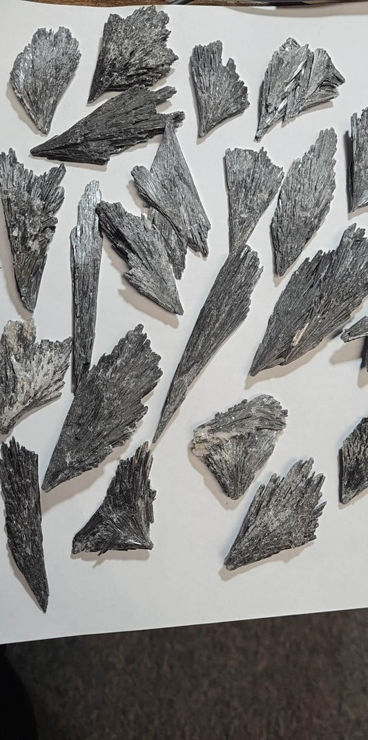 Rough, Black Kyanite Blades - Witches Broom