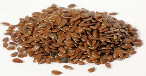 Flax Seed (Linum usitatissimum)